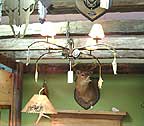 Fishing Reel Chandelier