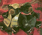 Teddy Bears